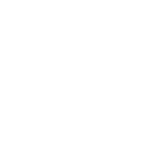 Toric Lenses
